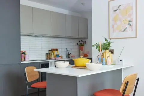 1 bedroom apartment to rent
