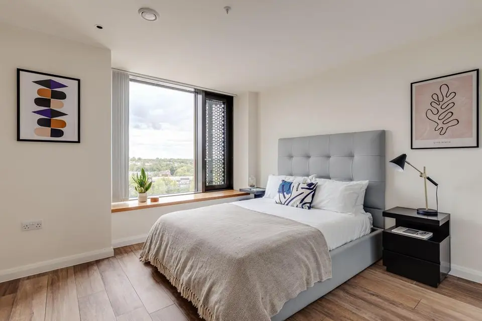 1 bedroom apartment to rent